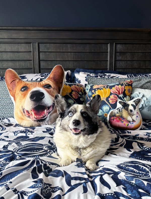 Sweet Treat Winslow and the Donut Pillow - Image 2