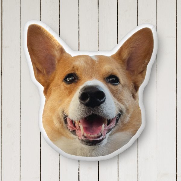 Barkley Stumps Lovin' Life Pillow - Image 4