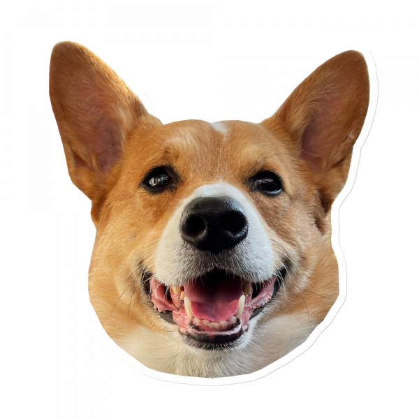 Barkley's Smiling Face Magnet - Image 5