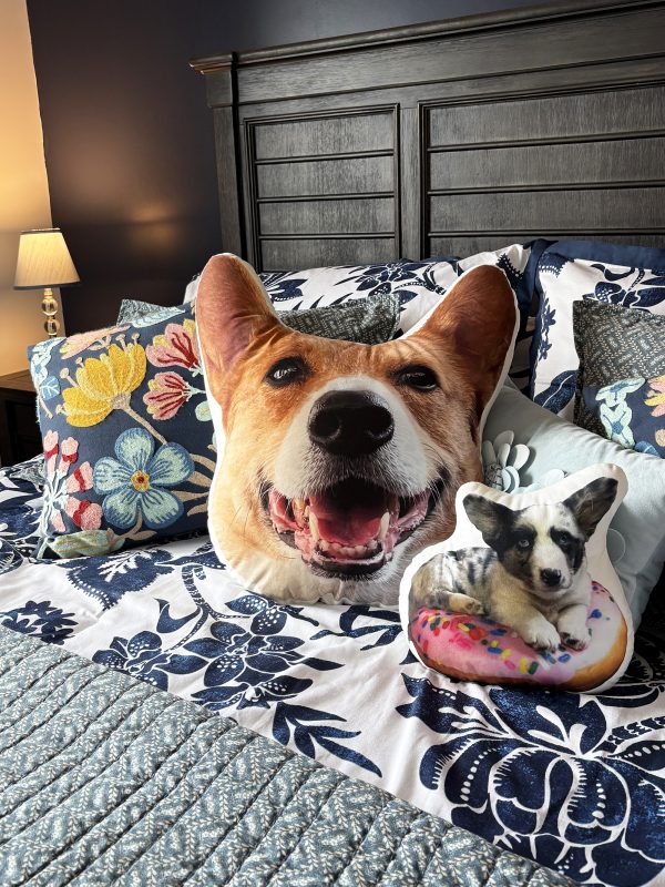 Barkley Stumps Lovin' Life Pillow - Image 2