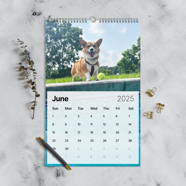 Fun with Barkley & Winslow Wall Calendar (2025) - Image 7