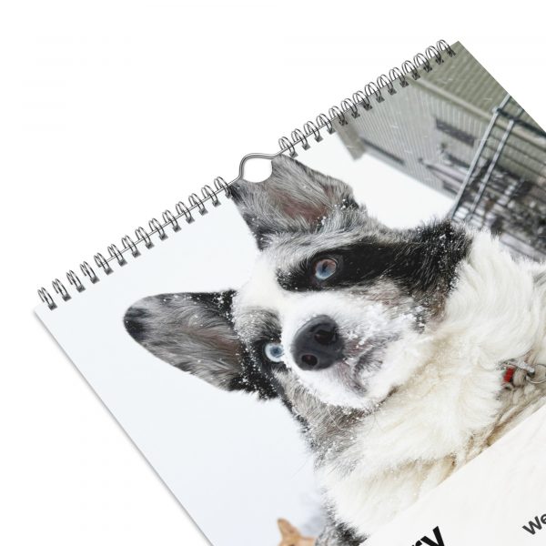 Fun with Barkley & Winslow Wall Calendar (2025) - Image 6