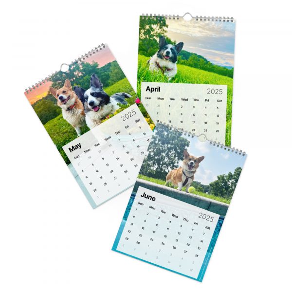 Fun with Barkley & Winslow Wall Calendar (2025) - Image 3