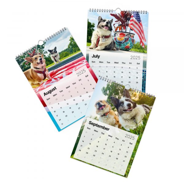 Fun with Barkley & Winslow Wall Calendar (2025) - Image 4