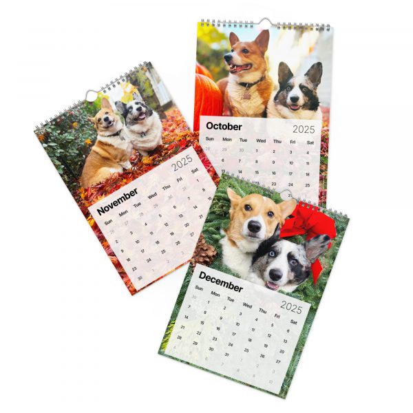 Fun with Barkley & Winslow Wall Calendar (2025) - Image 5