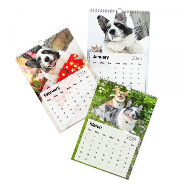 Fun with Barkley & Winslow Wall Calendar (2025) - Image 2