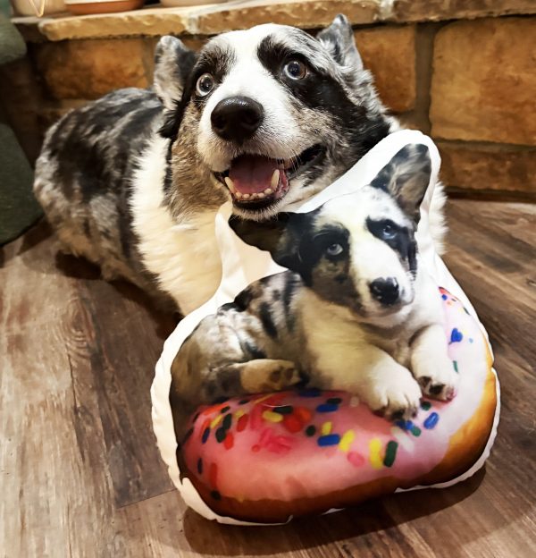 Sweet Treat Winslow and the Donut Pillow